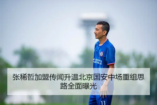 张稀哲加盟传闻升温北京国安中场重组思路全面曝光